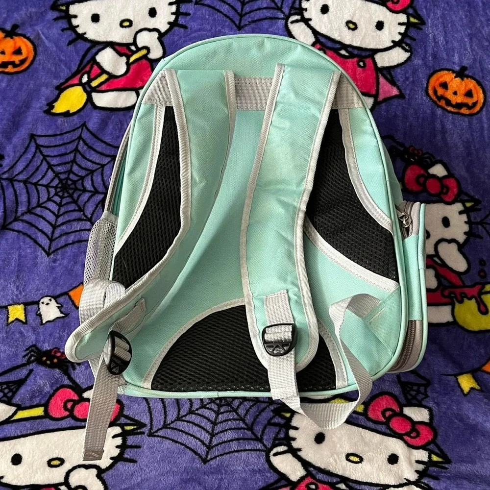 Pet Cat Carrier Bubble Backpack.